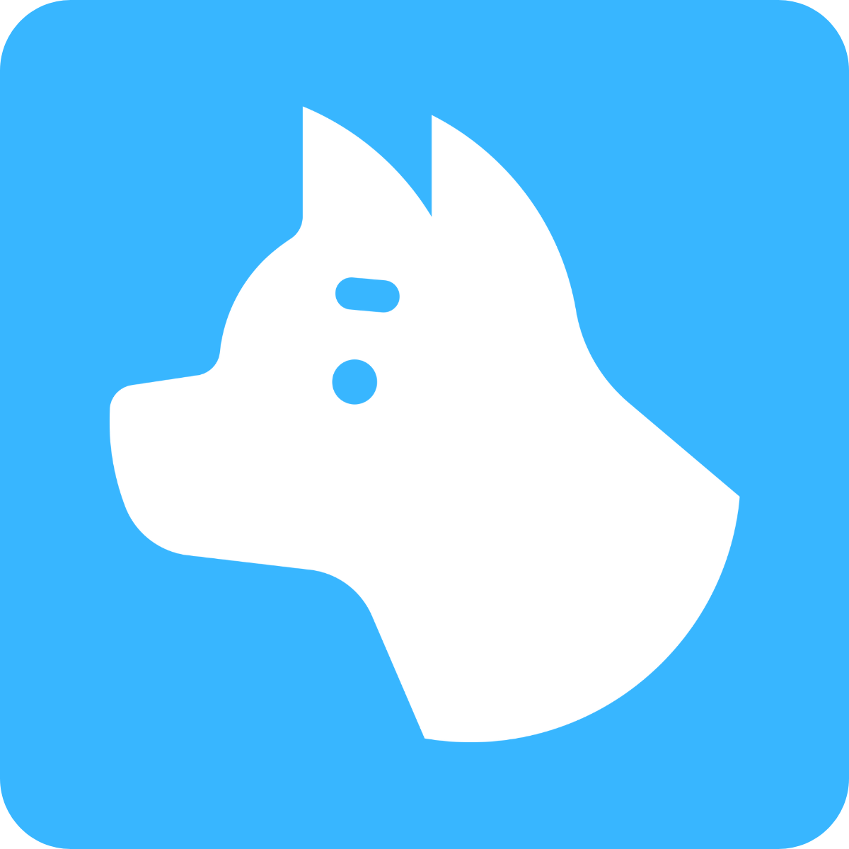 p-ruffruff-予約販売-p