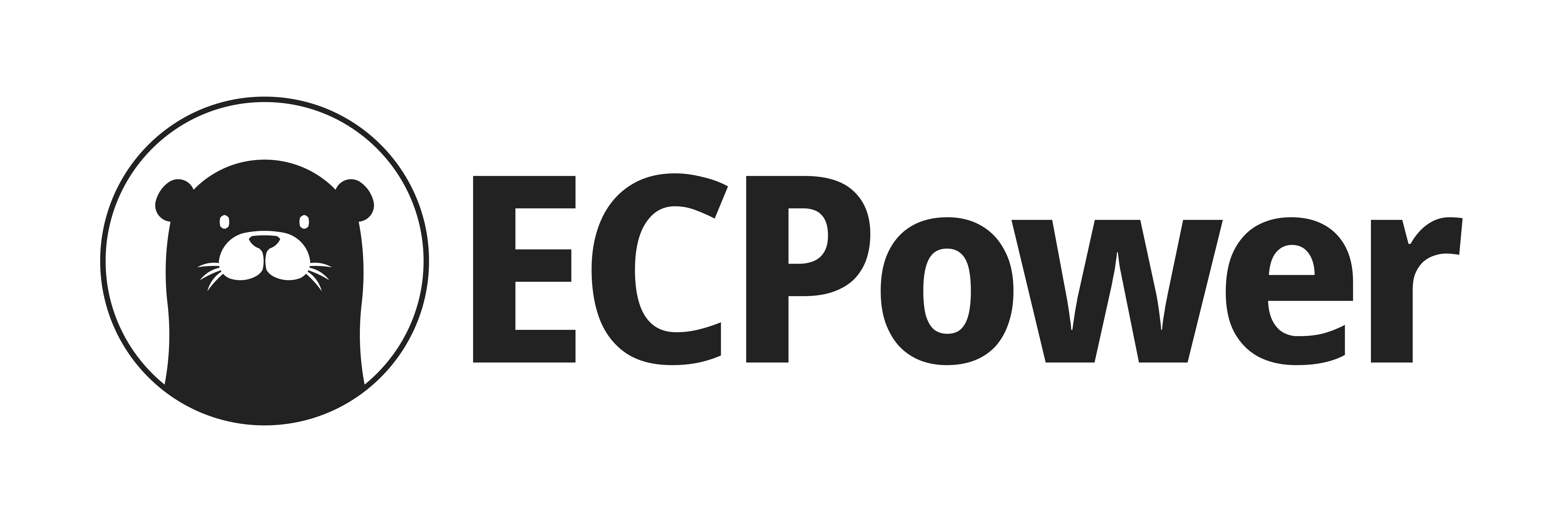 p-ecpower-segment-management-p