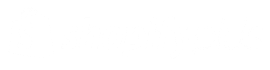 <span>Duos B2B & Wholesale</span>